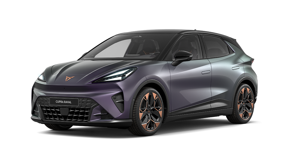 ENDURANCE LAUNCH PLUS